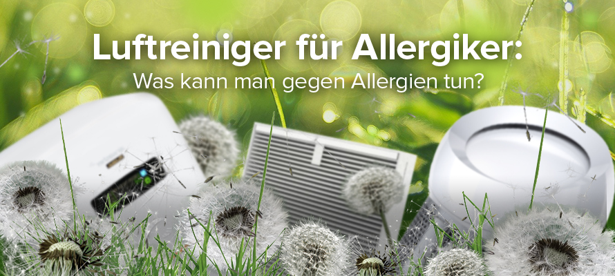 Mit Luftreiniger gegen Allergien vorgehen
